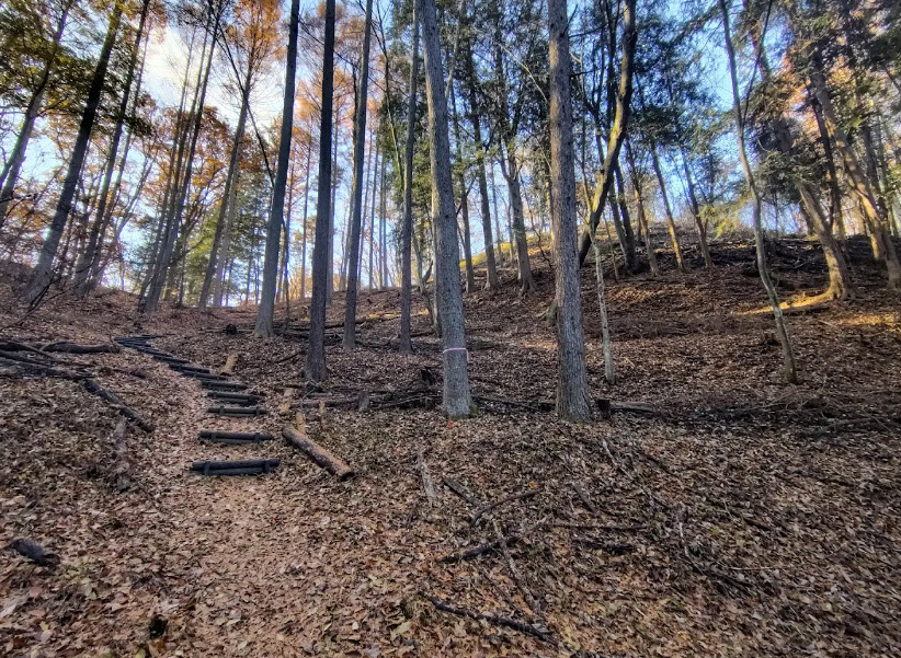Kuwabara Castle Ruins, Japan